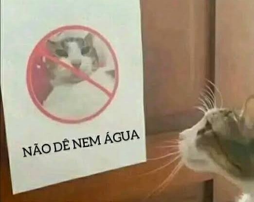 Minos! 🇧🇷🏳️‍⚧️ tweet media