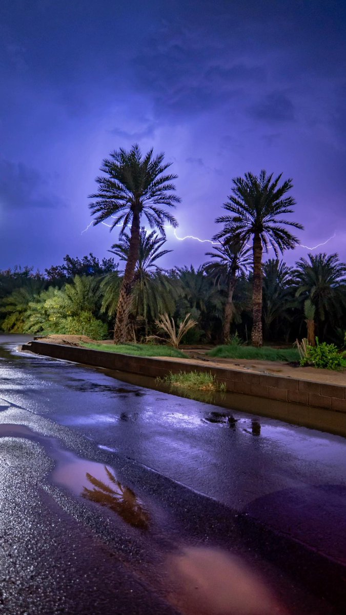 بداح tweet media