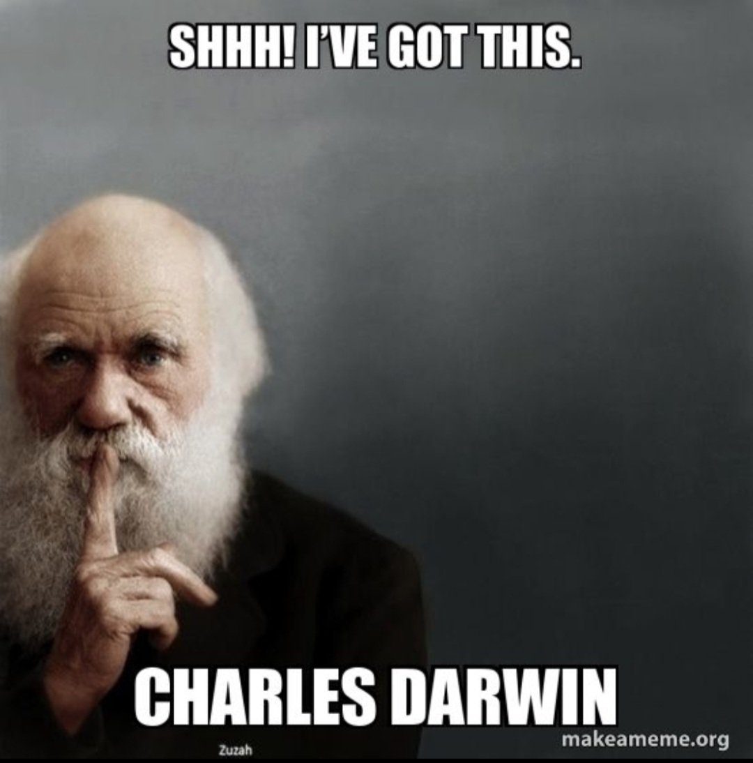 Mosiah the Great tweet media