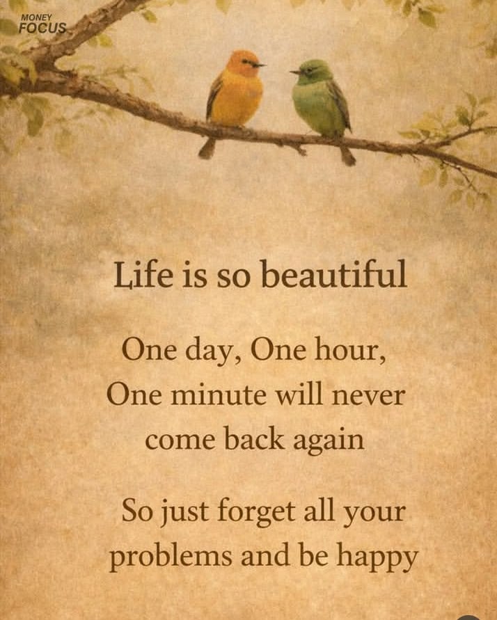 theendeavorpath tweet media