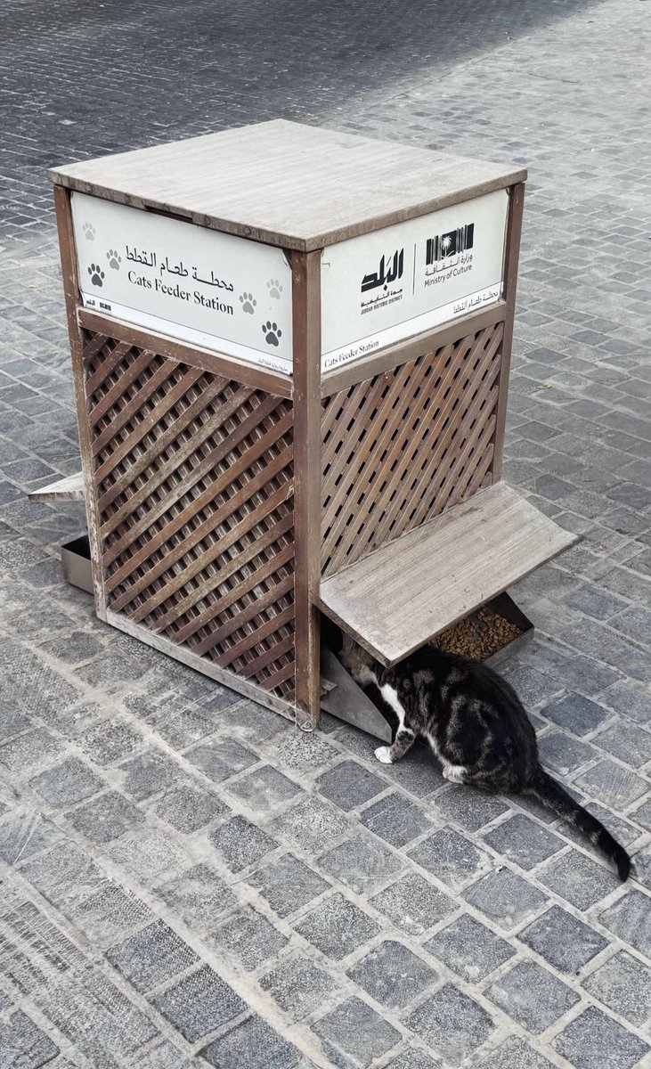 Alwaleed tweet media