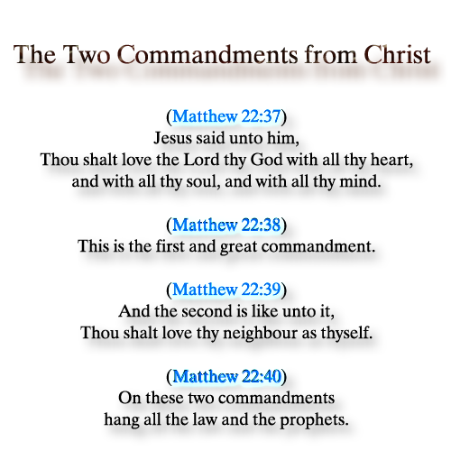 Hikyuu Mikado 🏳️🌈🪶🍵🍑 tweet media