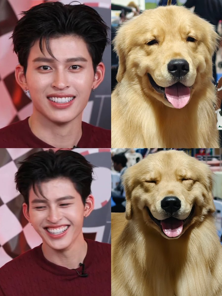 PPWeveryDAY tweet media