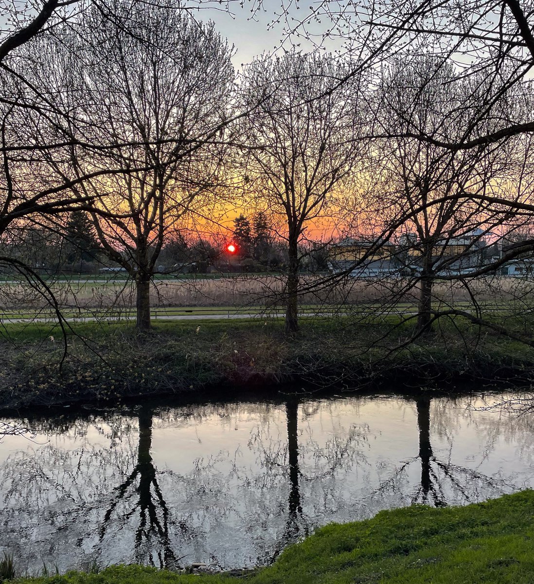 Frau Köpfchen tweet media