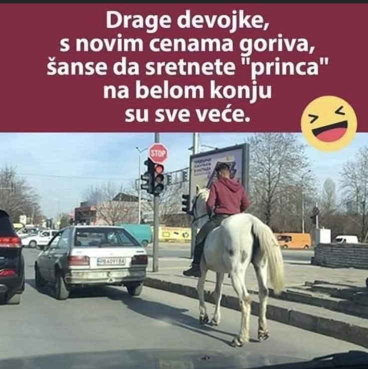 Igor Zdravkovic tweet media