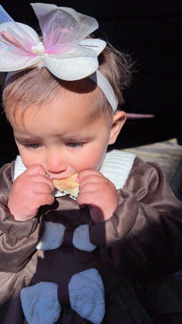 Shrouq Ahmed tweet media