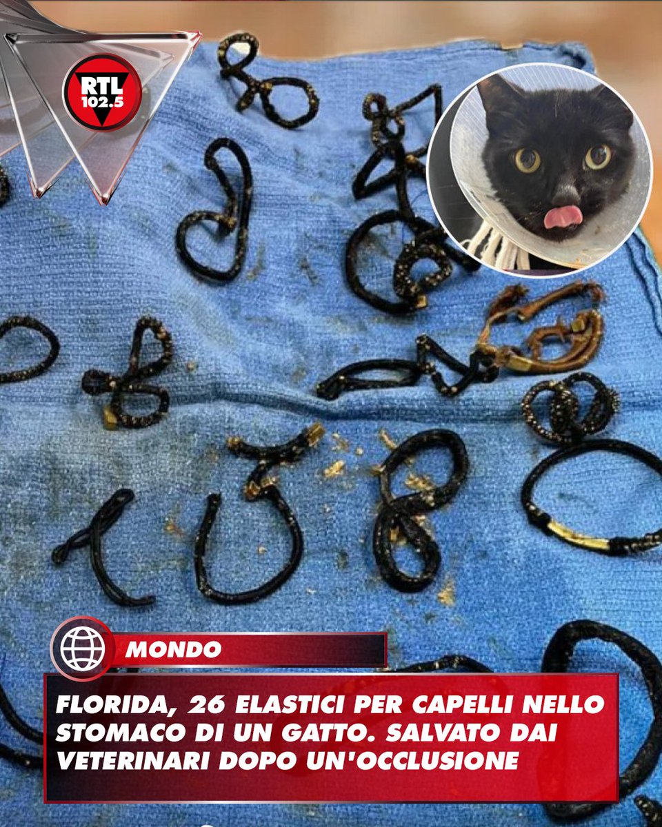 RTL 102.5 tweet media