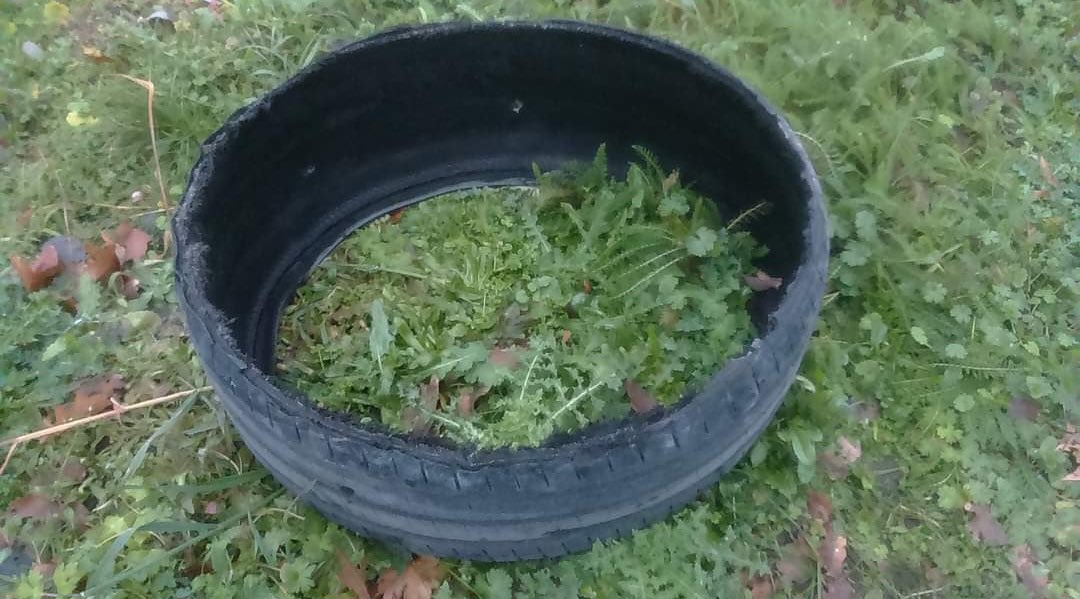 Mxchxgo6z tweet media