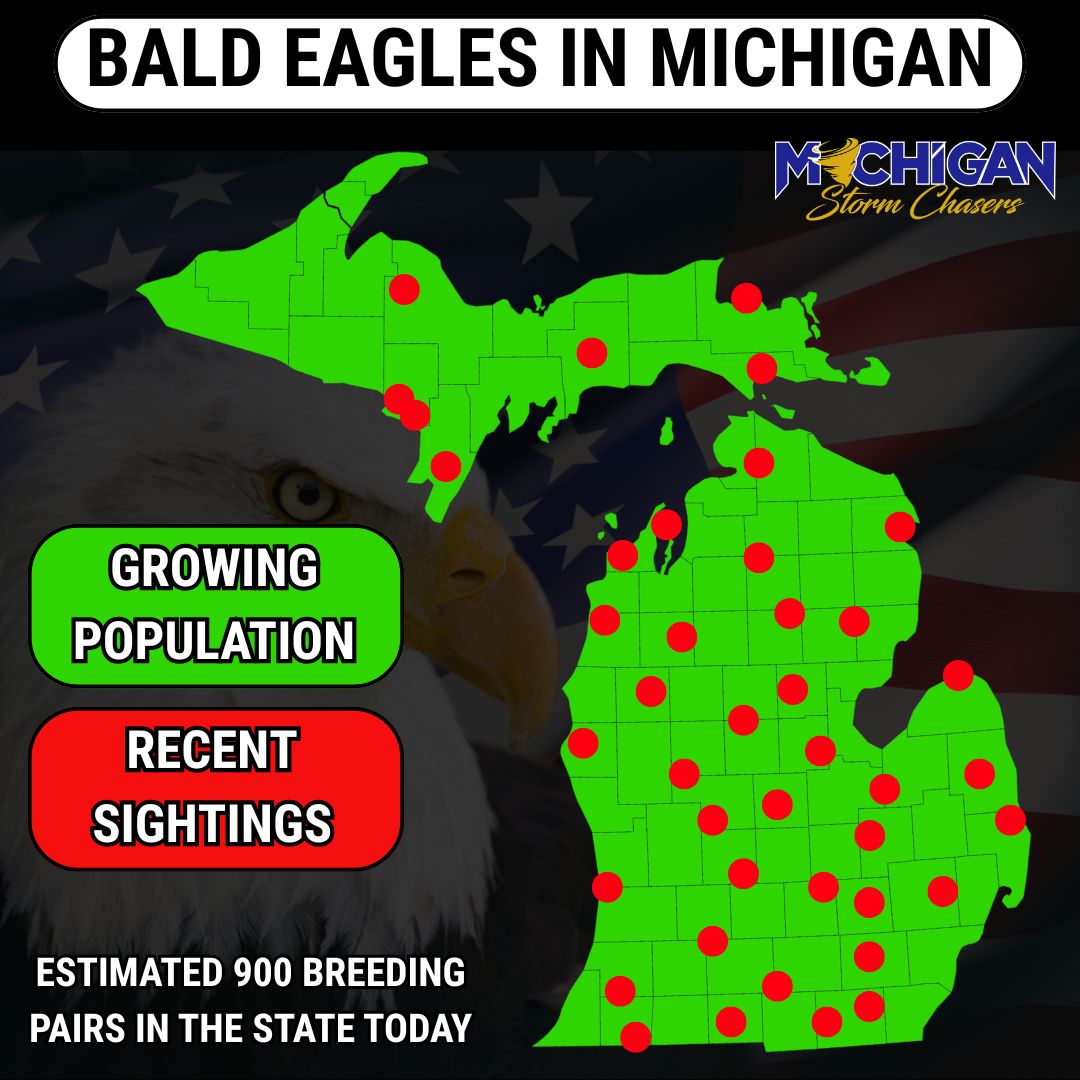 Michigan Storm Chasers tweet media