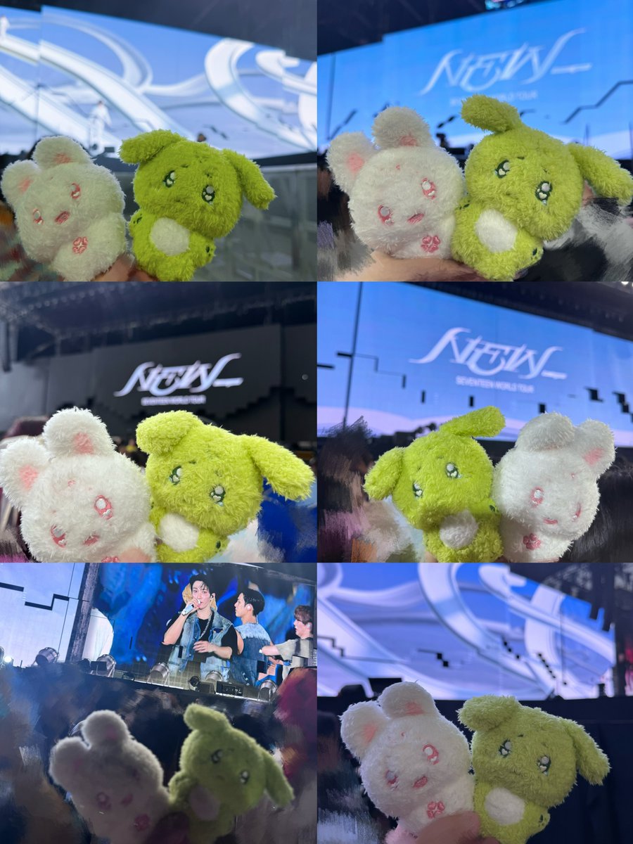 아시아 투어 100점 🫶🏻