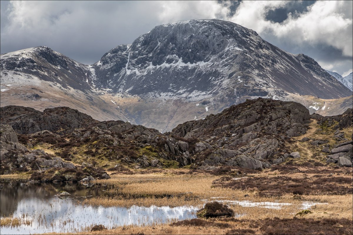 Andrew Locking tweet media