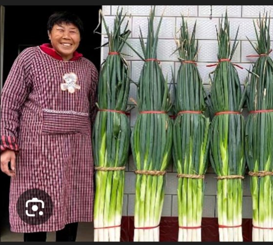 ☭ wrong huning ☭ tweet media