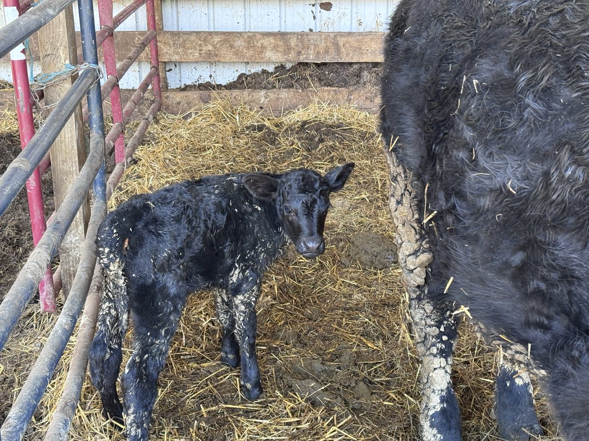 Drop a photo you clicked.

No text.

Let it speak.