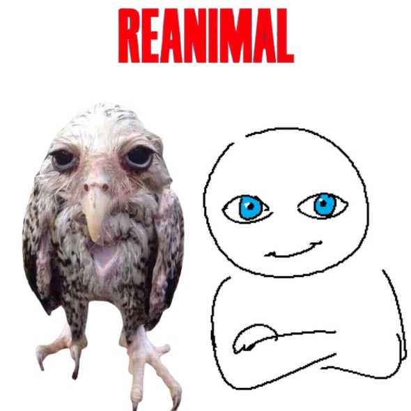 miles 🕷️ tweet media