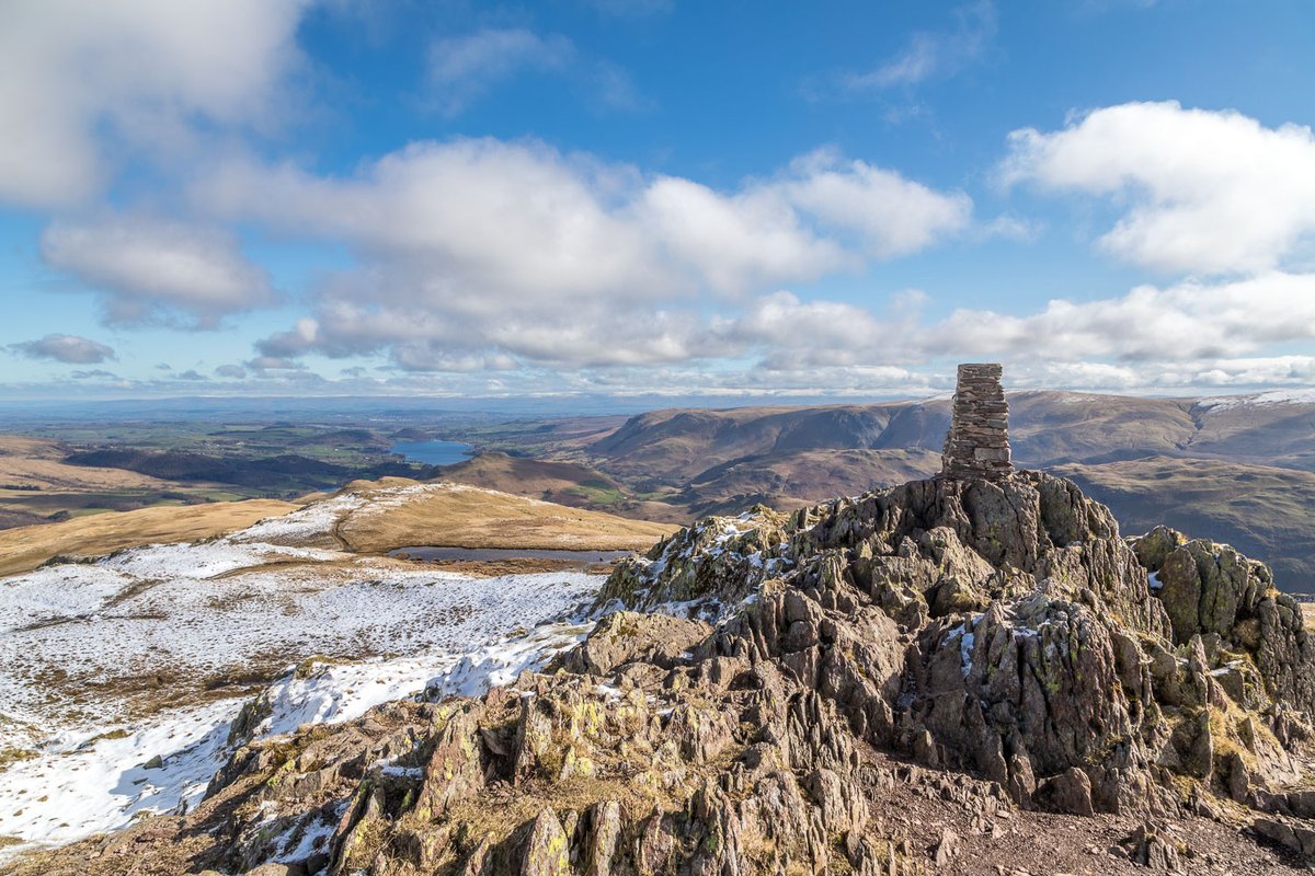 Andrew Locking tweet media