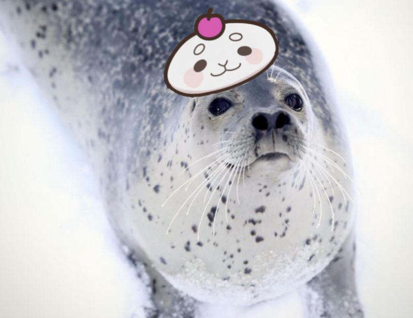 Fuyumi Mero 🍈🎀 冬海めろ 【bondliveEN】 tweet media