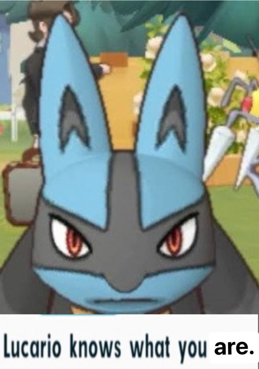 ThatDamnDog tweet media