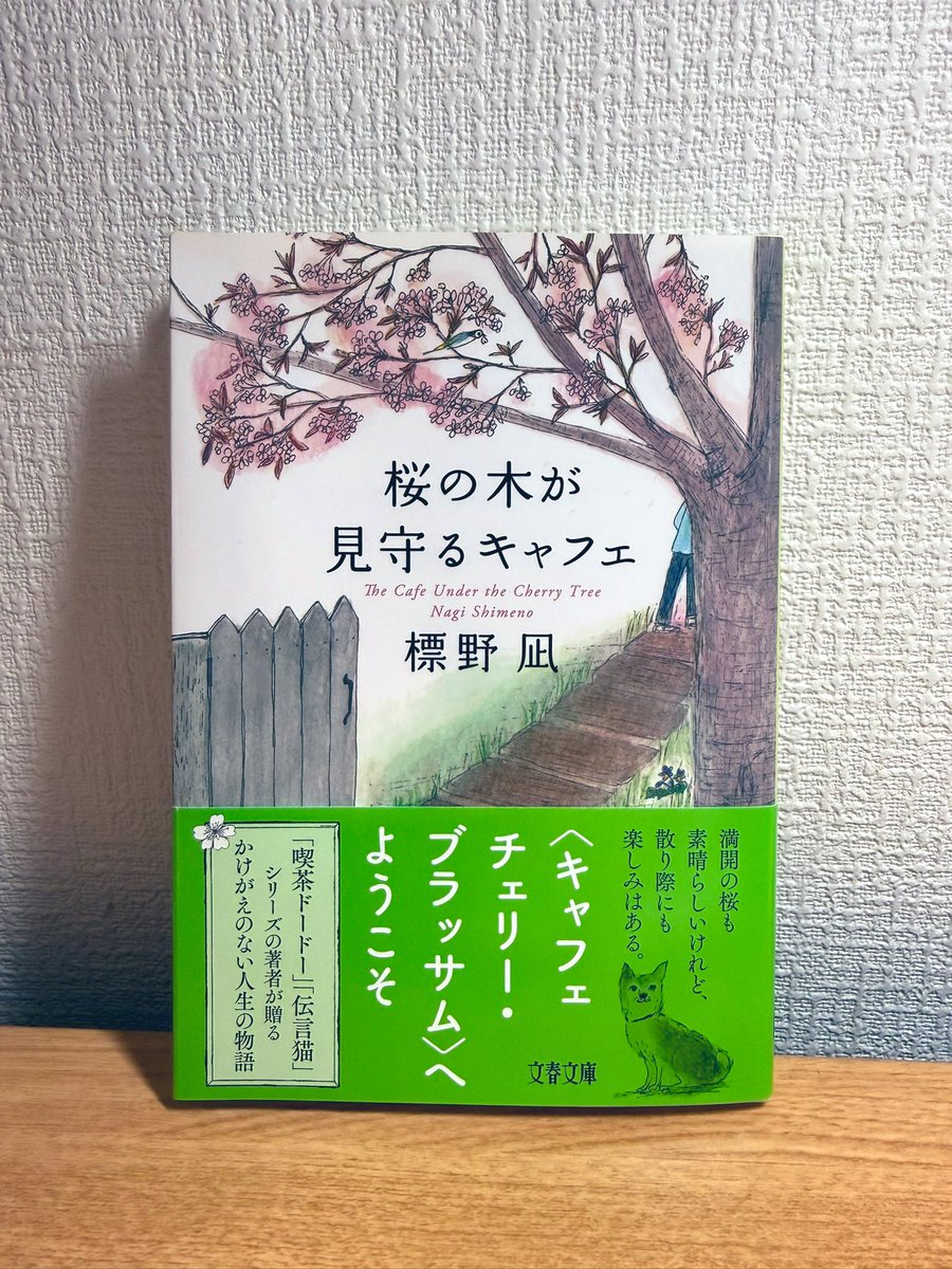 小林えみか|鼻も唇も耳も無かった人 tweet media
