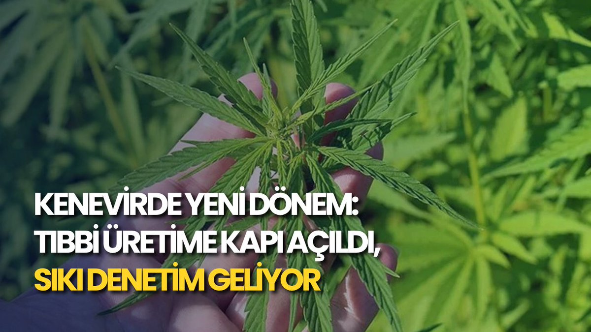 Kenevirde Yeni Dönem: Tıbbi Üretime Kapı Açıldı, Sıkı Denetim Geliyor

kanalordu.com/kenevirde-yeni…