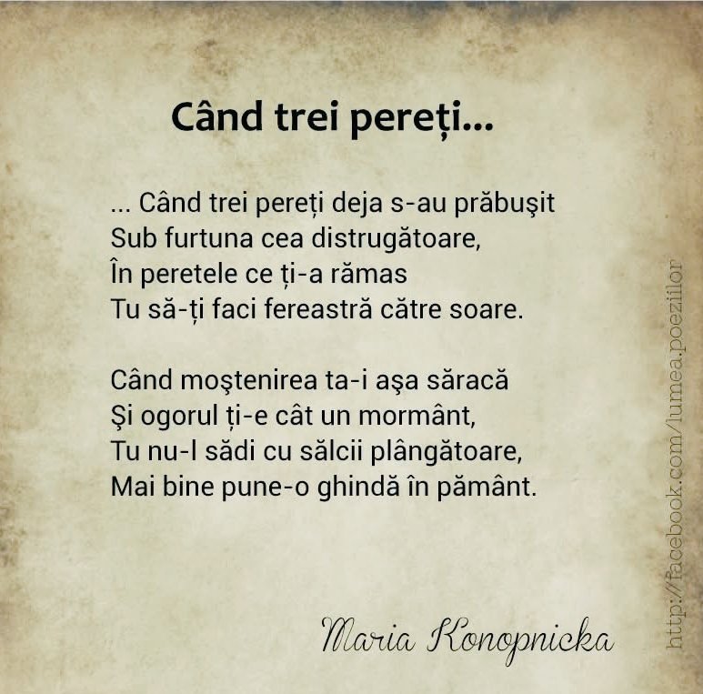 Mariana Munteanu tweet media