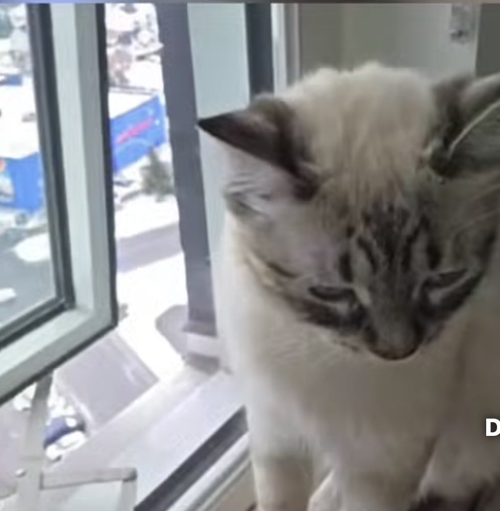 Debbies World tweet media