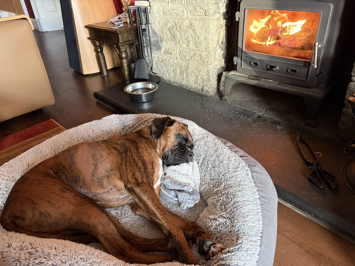 Becks Boxer tweet media