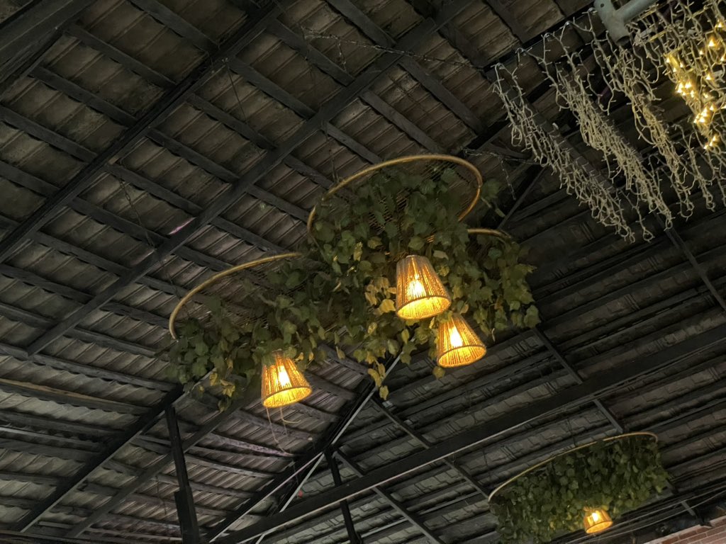 Romeo🌹 tweet media