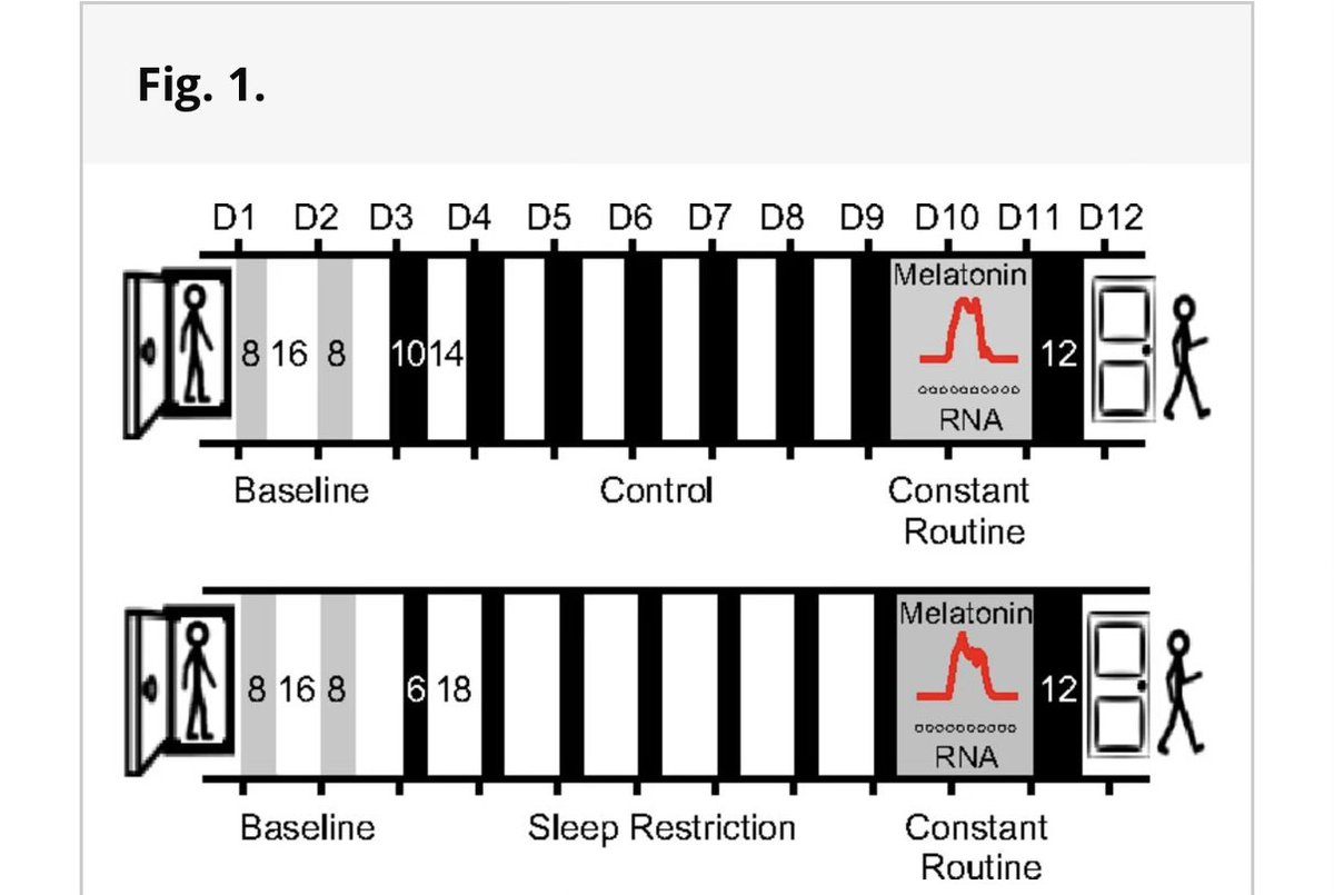 Rock Mada tweet media