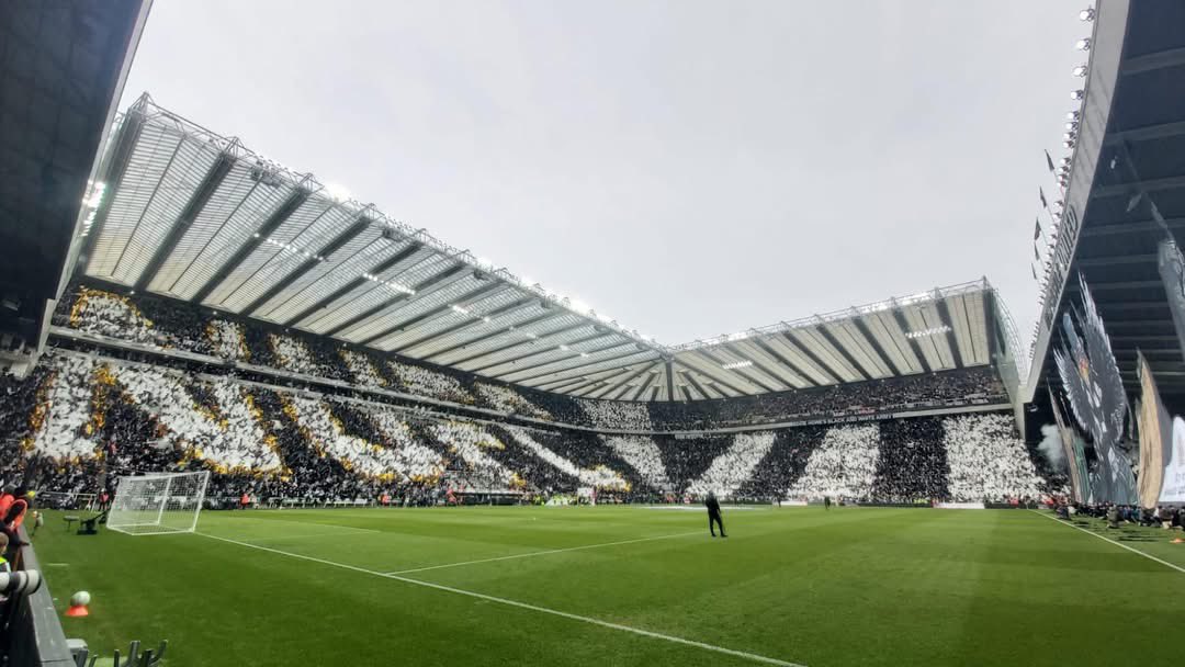 Jordan Robinson tweet media