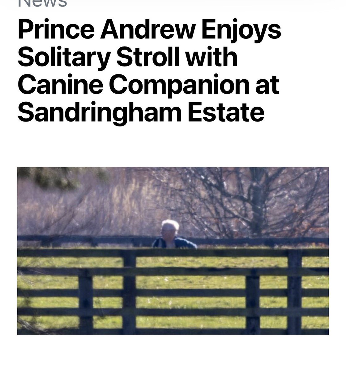 Coyote Fan tweet media