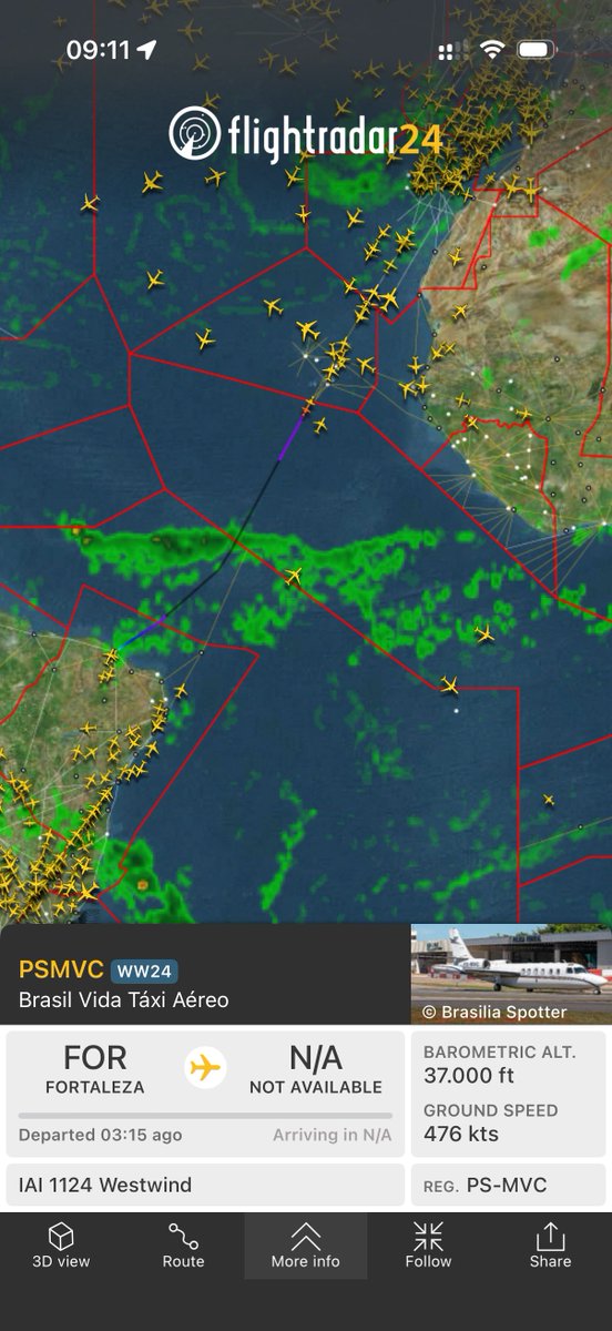 Phelipe Fleury tweet media