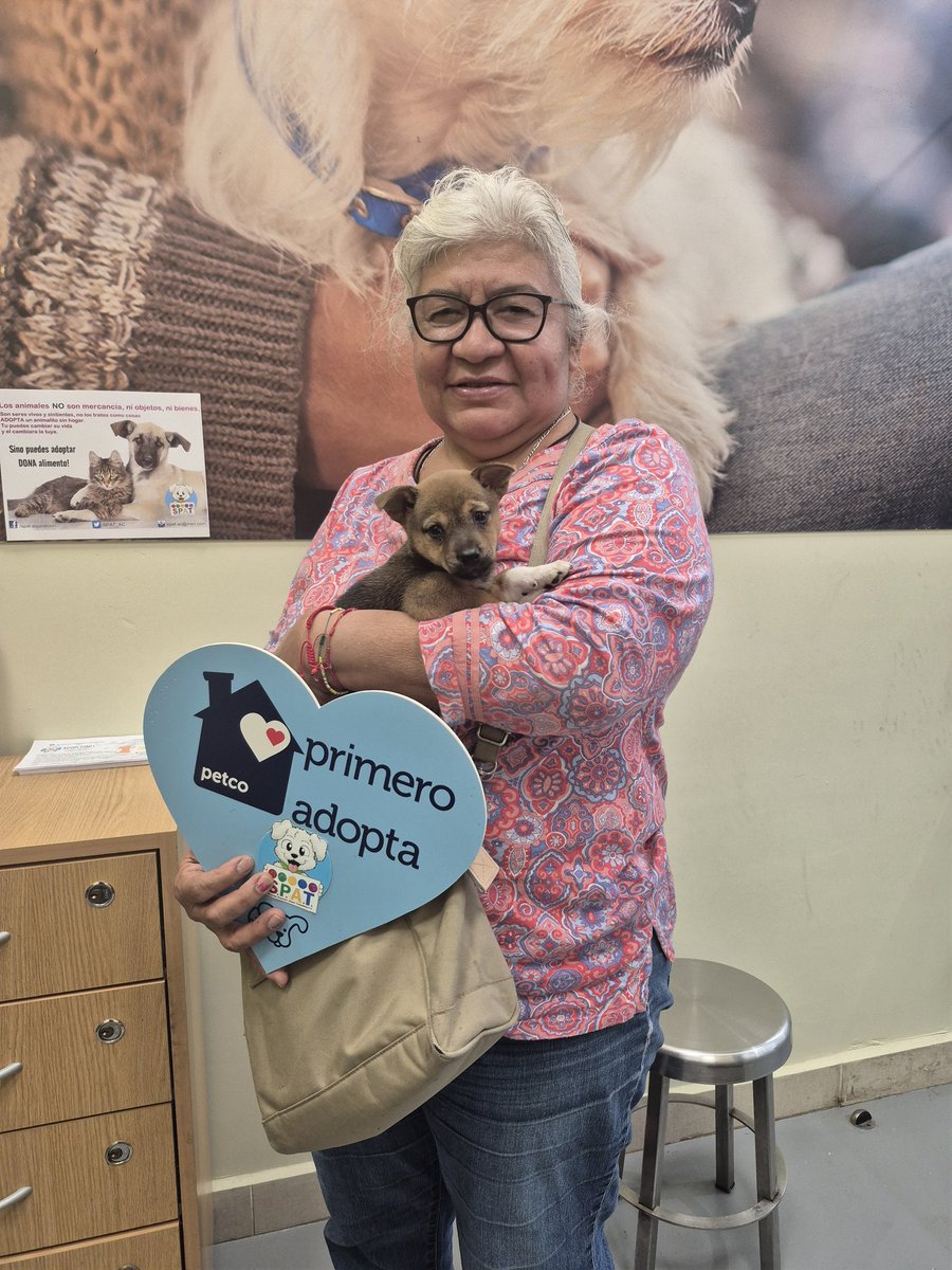 Sociedad Protectora Animal Tamaulipeca Ac tweet media