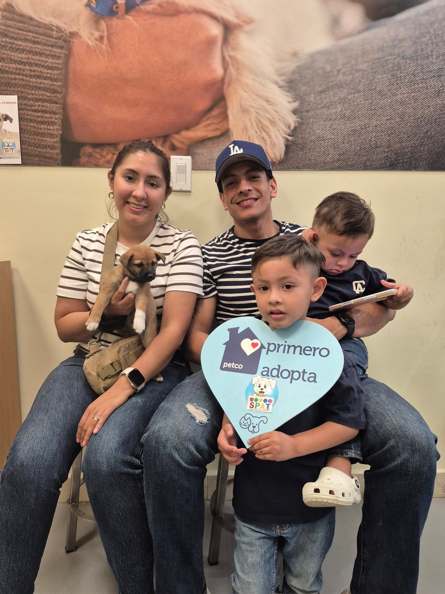 Sociedad Protectora Animal Tamaulipeca Ac tweet media