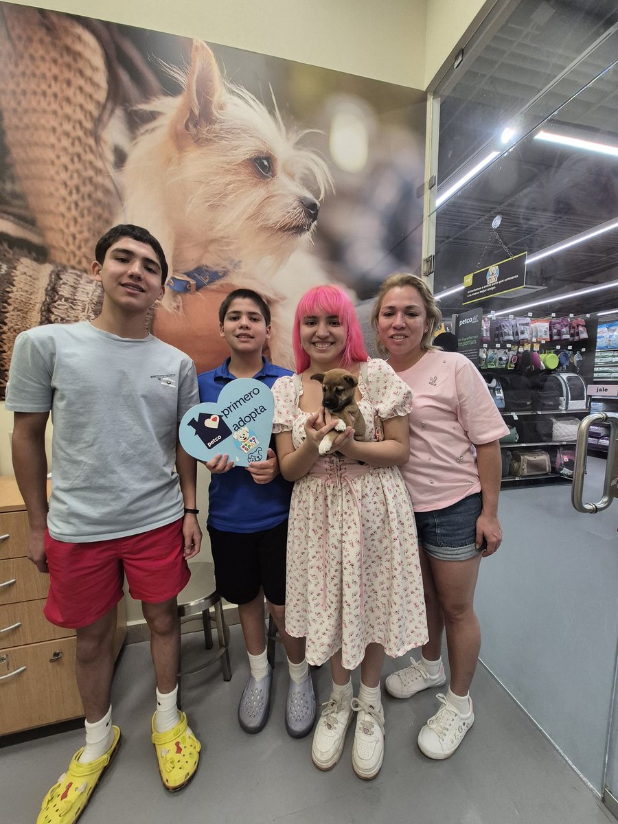 Sociedad Protectora Animal Tamaulipeca Ac tweet media