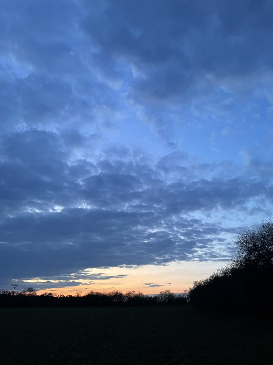 Sam Brun tweet media