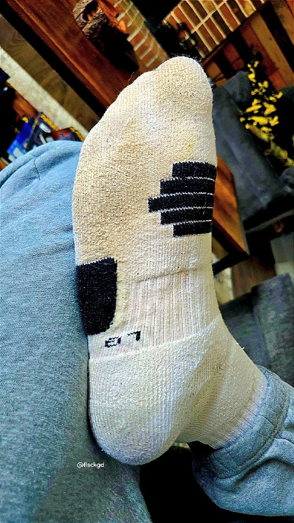 FL Sock God ☀️ tweet media