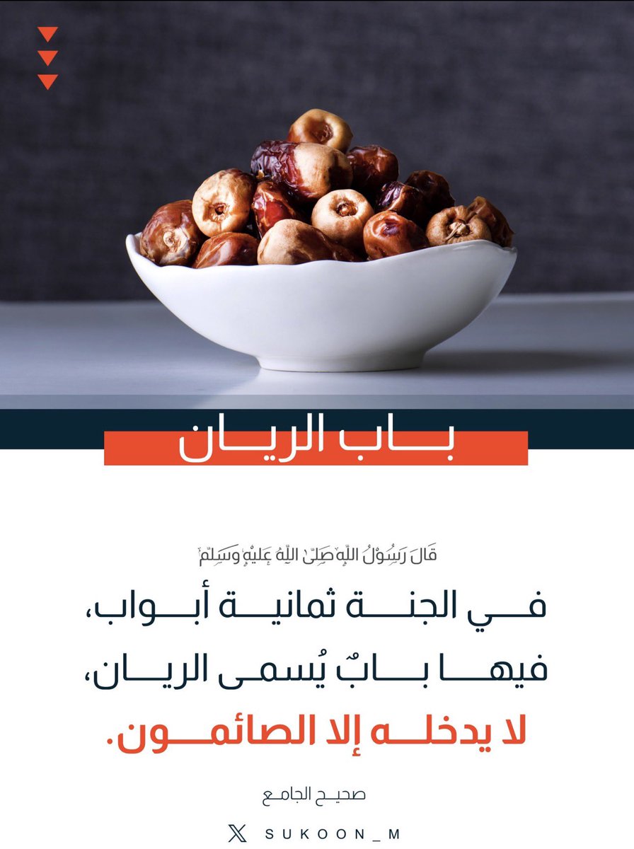 ﮼السنة ﮼سفينة ﮼نوح 🌾✨ tweet media