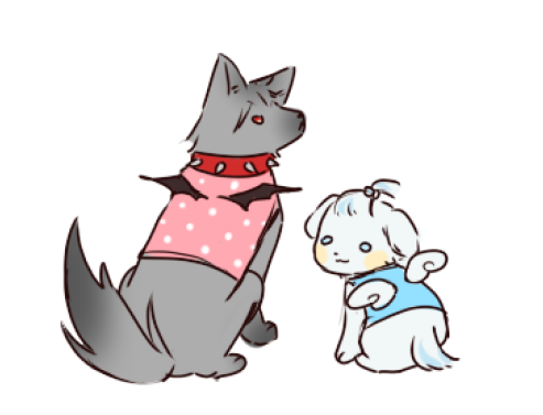 핀버튼 tweet media