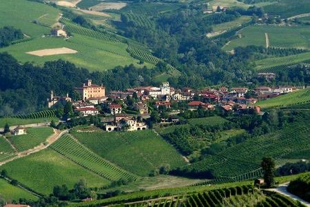 F.Ortega B.Mex. tweet media