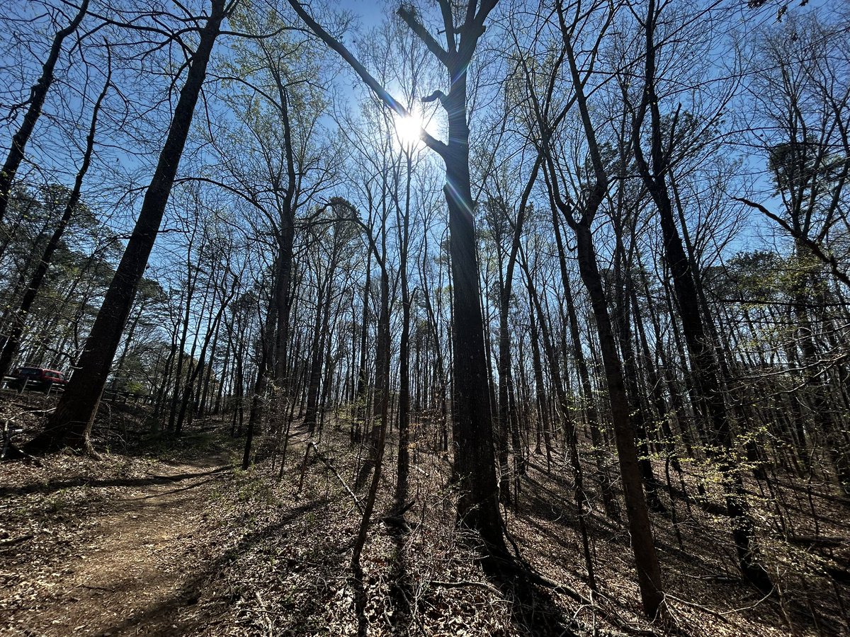 Kevin Avery tweet media