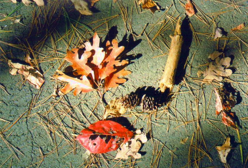 Stephen Garone tweet media