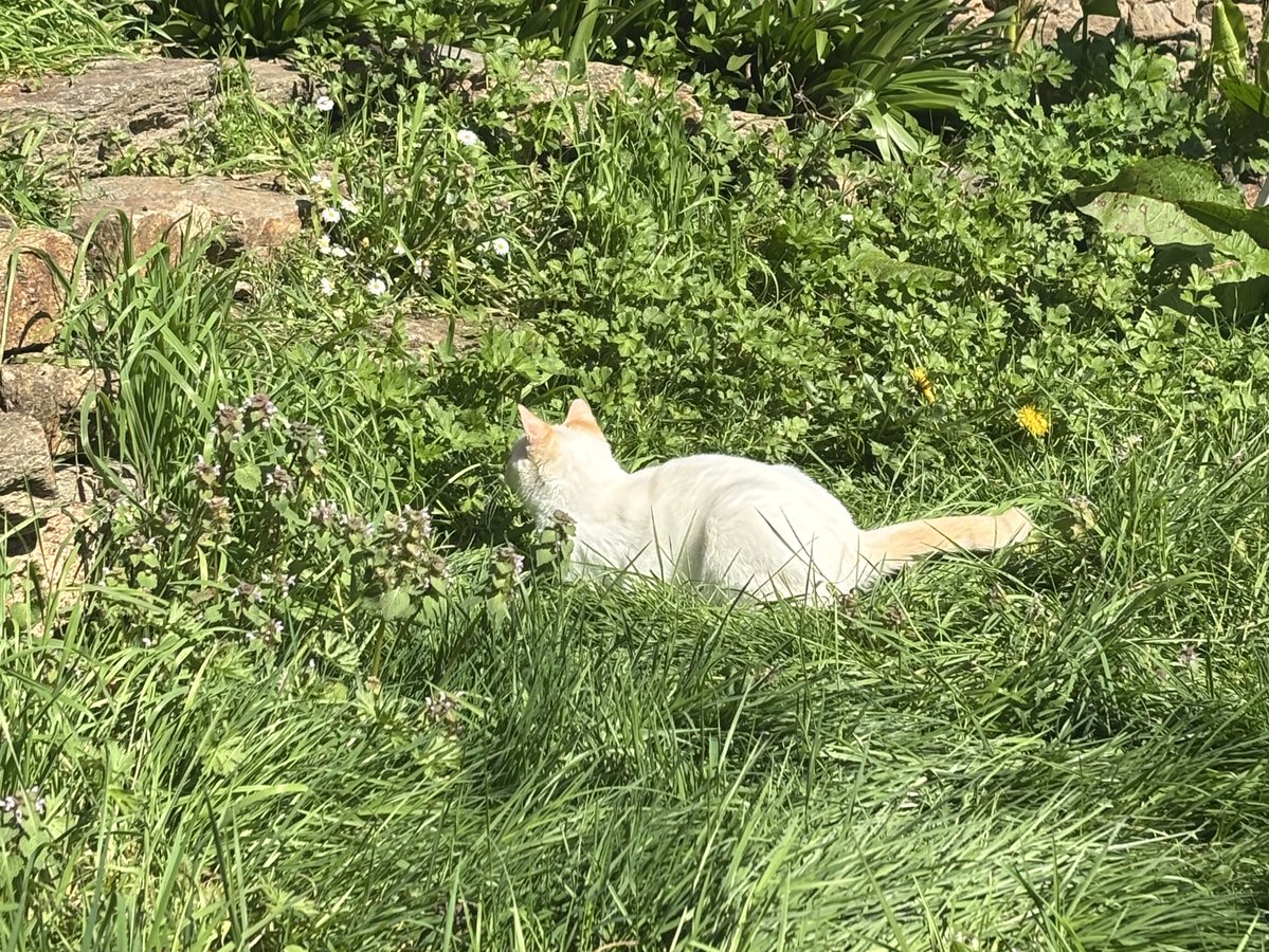 𝜗𝜚⋆ tweet media