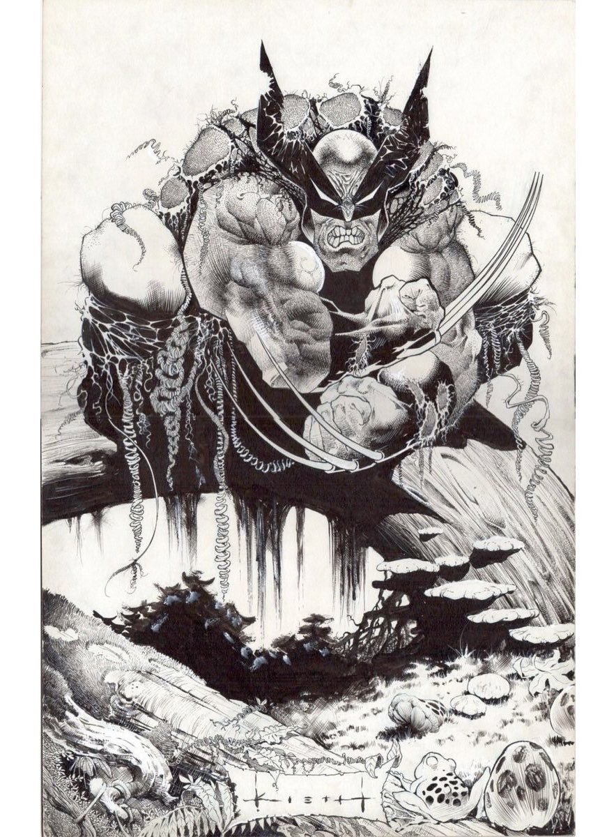 Gustavo Duarte tweet media