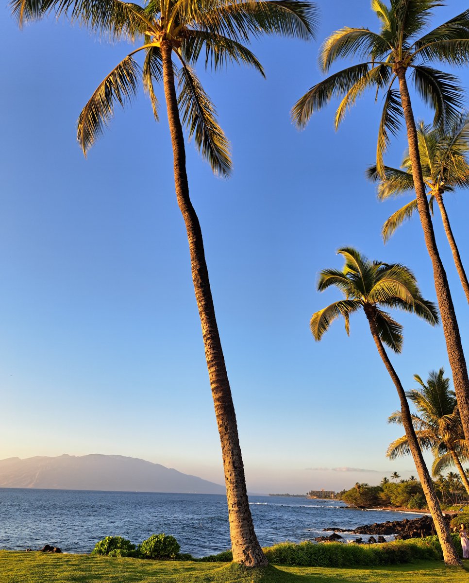 The Shops at Wailea tweet media