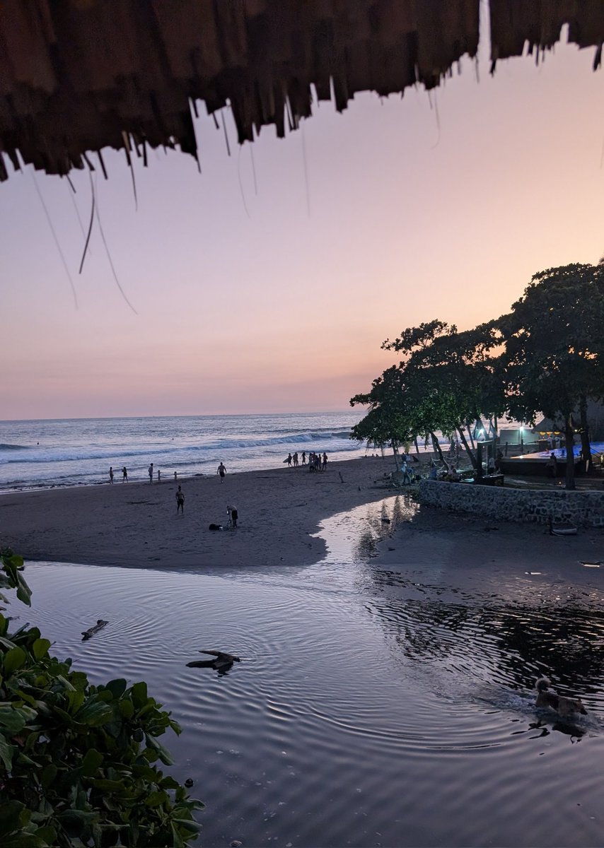 My Latin Life 🌴 tweet media