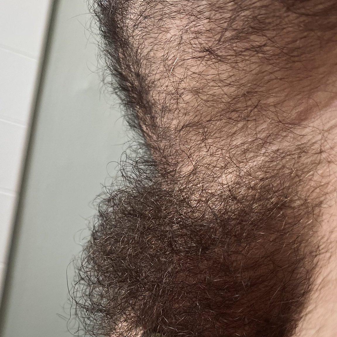 Hairy Bush Bro tweet media