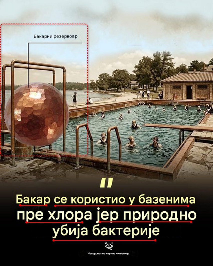 Dobar dan Srbijo tweet media