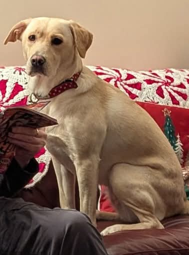 chris towers tweet media