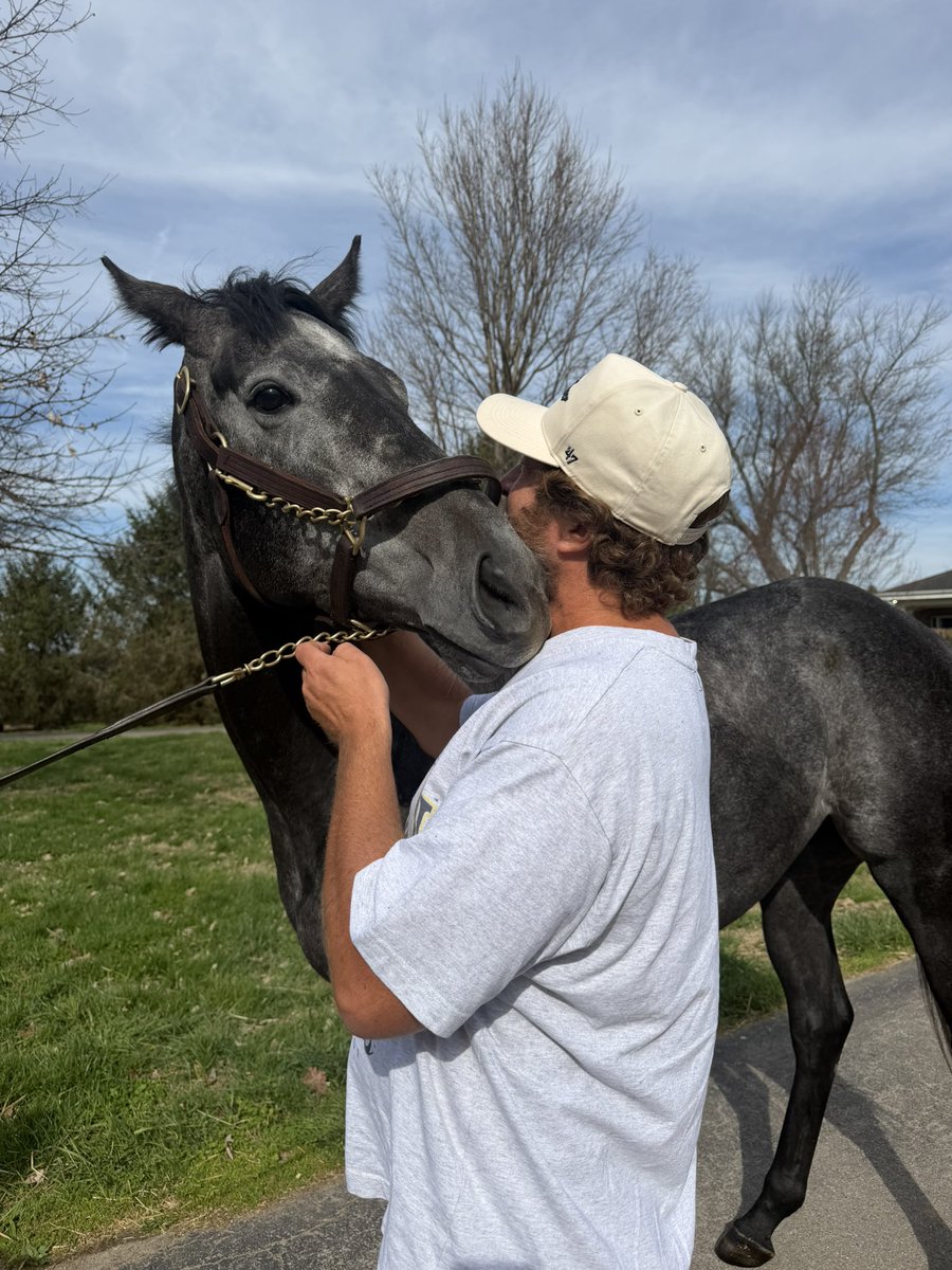 Dave Portnoy tweet media