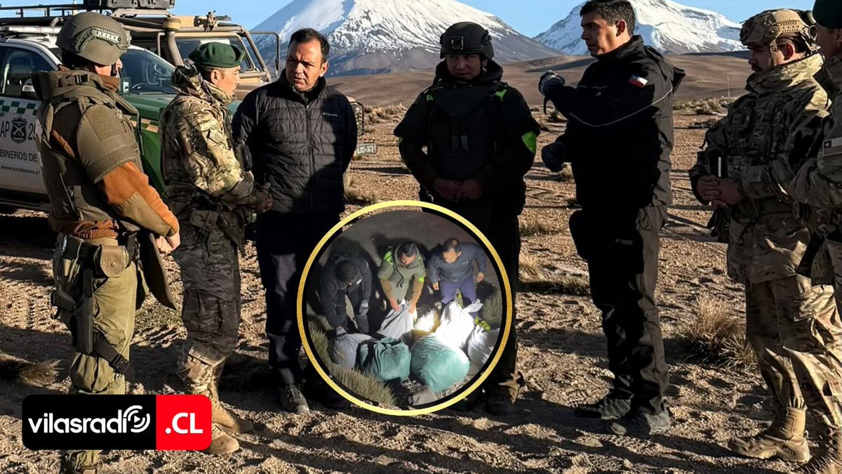 Amalia 🇨🇱🇨🇱 tweet media